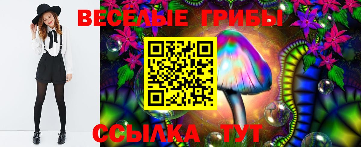 Псилоцибиновые грибы Psilocybine cubensis Бугуруслан