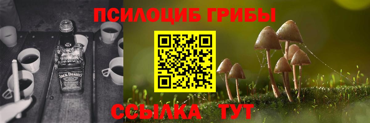 Псилоцибиновые грибы Psilocybe  Вход с VPN  Бугуруслан  Галлюциногенные грибы Psilocybe 